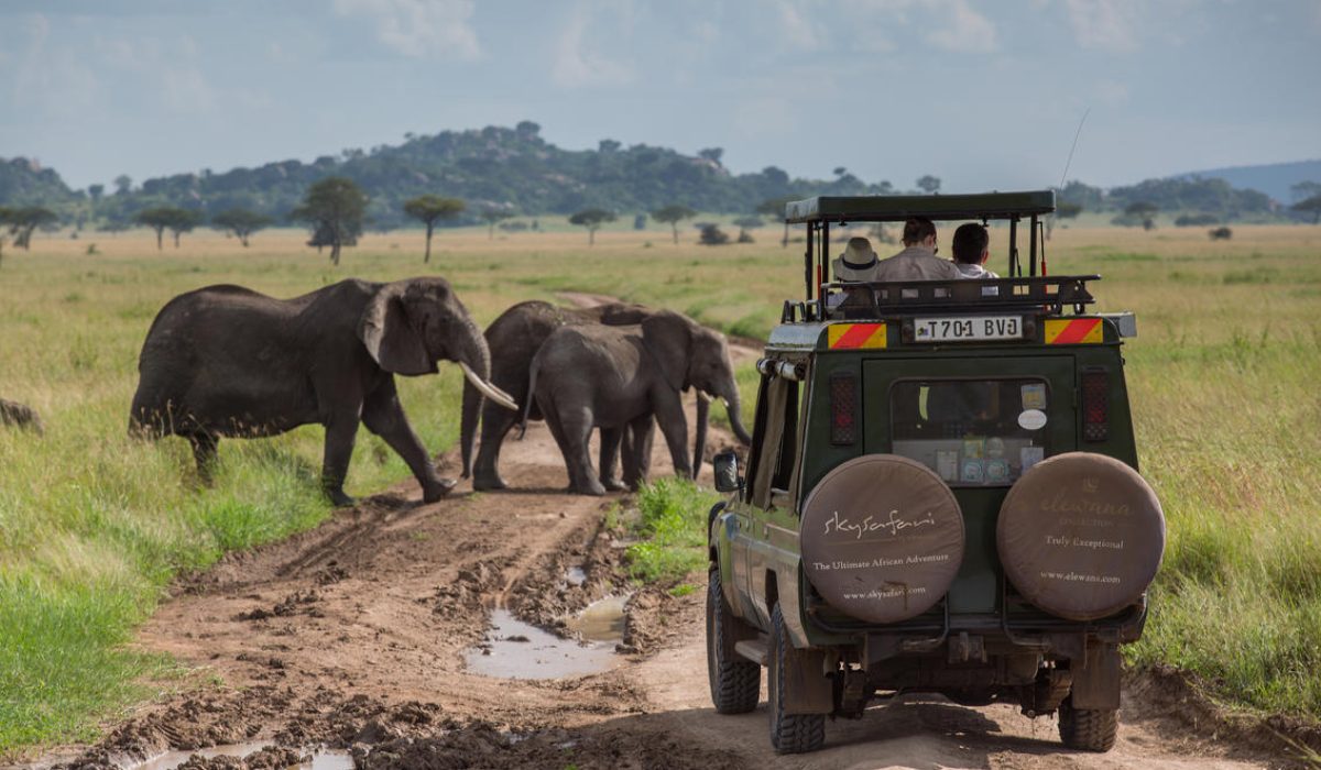 Elewana Serengeti Pioneer Camp