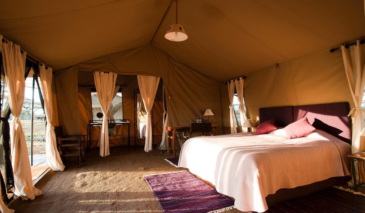 Bologonya Under Canvas Camp