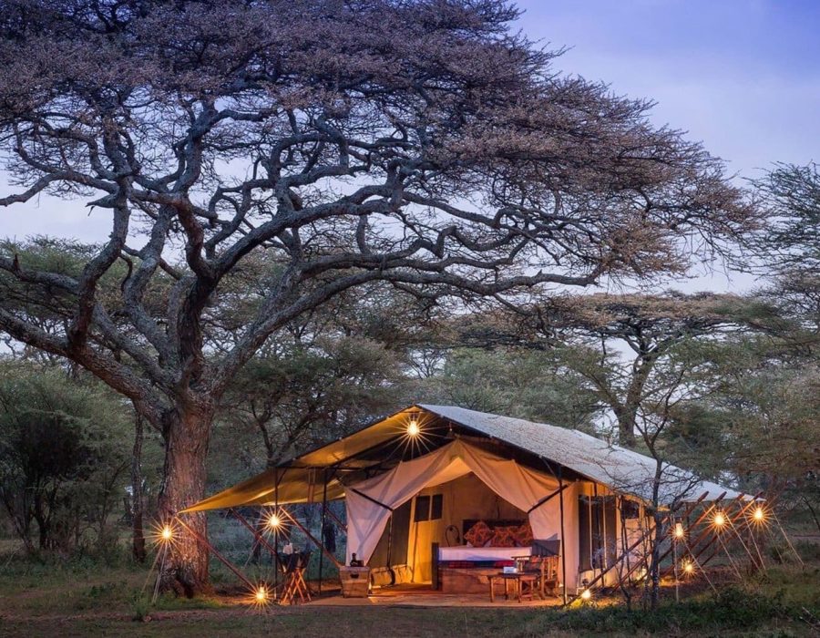 Serengeti Camps and Lodges