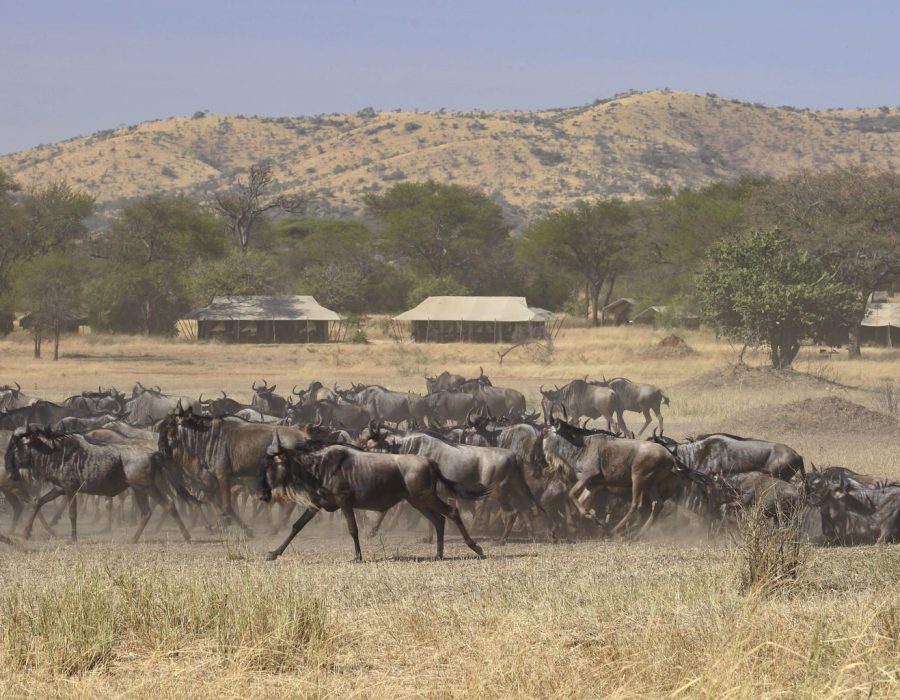 ubuntu-camp-migration