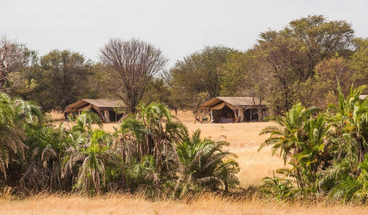 Bologonya Under Canvas Camp