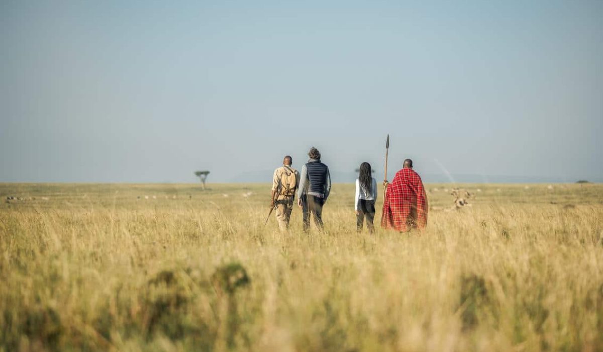 Elephant Pepper Camp